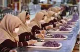  ??  ?? Iranian workers sort and clean saffron filaments during its processing at Iran’s Novin Saffron factory.