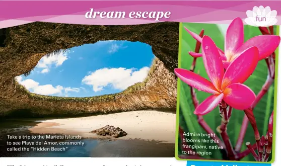  ??  ?? Take a trip to the Marieta Islands to see Playa del Amor, commonly called the “Hidden Beach” Admire bright blooms like this frangipani, native to the region