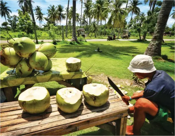  ?? ALDO NELBERT BANAYNAL ?? A roadside vendor sells fresh coconut juice on Olango Island in Lapu-Lapu City. Demand for coconut juice is high as a thirst quencher during the hot season.