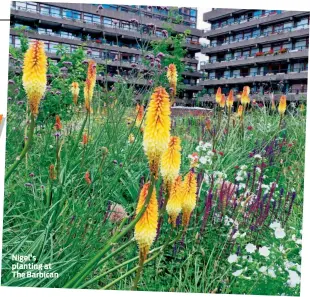  ??  ?? Nigel’s planting at The Barbican