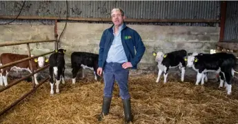  ??  ?? Hands on: Kenny has had a busy spring calving down 50 cows and looking after the calf-to-beef stock.