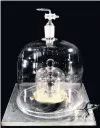  ?? PHOTO: FROM SOCIAL MEDIA VIA REUTERS ?? Out of a job . . . The Internatio­nal Prototype of the Kilogram.