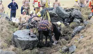  ??  ?? TEAM EFFORT: Firefighte­rs work to lift Tara to safety after she fell from cliff