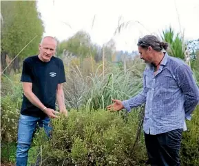  ?? ?? North Canterbury dairy farmer John Faulkner is working with cultural land adviser Makarini Rupene (Ngāi Tahu) to restore the biodiversi­ty on his land.