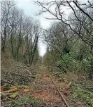  ??  ?? Above: Heavy vegetation clearance betweenP ontyatesa nd PontN ewydd just beforet he Covid- 19lo ckdown began. GRS