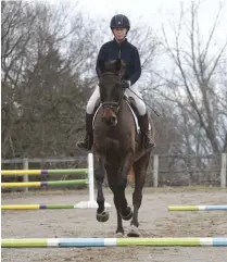  ??  ?? cantering over poles on the ground set at jump distances will help you gauge whether to lengthen or collect your horse’s stride for an actual course.