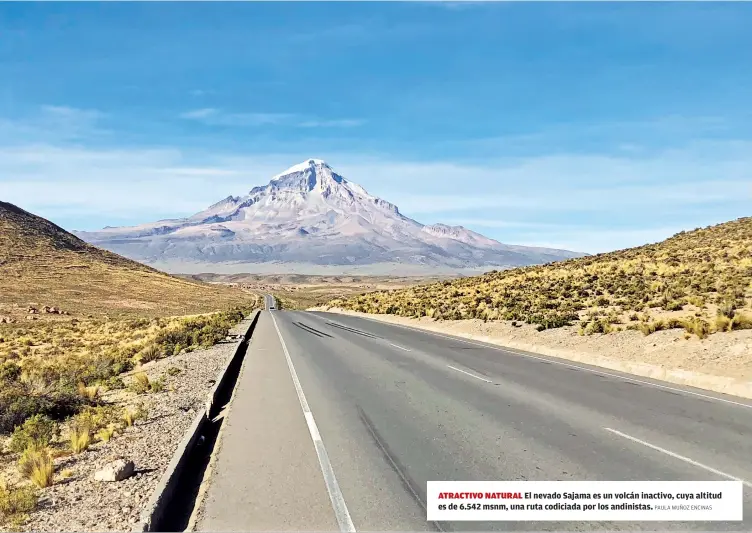  ?? PAULA MUÑOZ ENCINAS ?? ATRACTIVO NATURAL El nevado Sajama es un volcán inactivo, cuya altitud es de 6.542 msnm, una ruta codiciada por los andinistas.