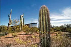  ?? Sandy Huffaker / Getty Images ?? The United States-Mexico border wall is seen past cacti in Organ Pipe National Park south of Ajo, Ariz.