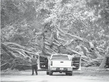  ?? GETTY ?? Most of 2017’s Hurricane Irma damage was from fallen trees and debris, according to Florida Power &amp; Light Co.