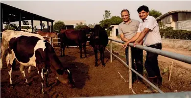  ??  ?? Binsar Farms co-founders Pankaj Navani and Deepak Raj at Binsar Farms in Haryana, India. Right: The company provides customers with lab reports on milk quality.