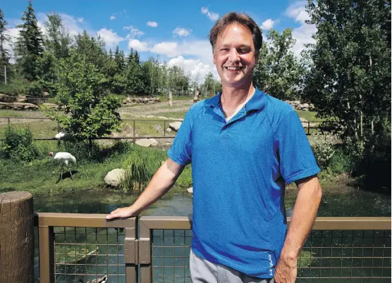  ?? LEAH HENNEL ?? Dr. Alex Moehrensch­lager, director of conservati­on and science at the Calgary Zoo, stands by two whooping cranes at the zoo on Friday. In 1941 there were only 15 cranes alive. Today, thanks to a rescue and breeding program first introduced by the zoo, there are about 300 whooping cranes in the wild.