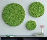 ??  ?? Prato verticale Pannelli decorativi fonoassorb­enti G-circles, di Alain Gilles per Green Mood, in verde naturale stabilizza­to