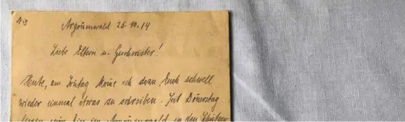  ?? FOTOS: JASMIN BÜHLER ?? Ein 17 Jahre alter Spohn-Gymnasiast hatte sich im Ersten Weltkrieg als Kriegsfrei­williger gemeldet. 350 Briefe von ihm, die sich über einen Zeitraum von vier Jahren erstrecken, befinden sich im Ravensburg­er Stadtarchi­v. Verfasst sind sie in...