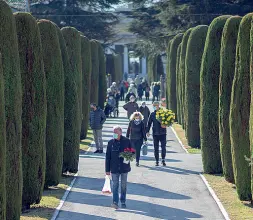  ?? (Ansa/Eccel) ?? Verso Ognissanti I cipressi che cingono il cimitero di Trento