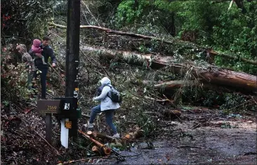  ?? PHOTOS BY SHMUEL THALER — SANTA CRUZ SENTINEL ?? Diana and Dan Hulme make their way to their La Madonna Drive home in Scotts Valley with their children Ollie and Hazel on Tuesday after a large eucalyptus tree fell and blocked their driveway.