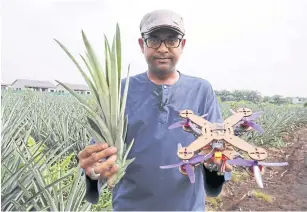  ?? REUTERS ?? Professor Mohamed Thariq Hameed Sultan holds pineapple leaves and a drone partially made with pineapple stems.