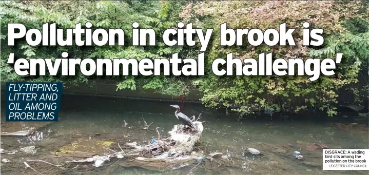  ?? News LEICESTER CITY COUNCIL ?? DISGRACE: A wading bird sits among the pollution on the brook