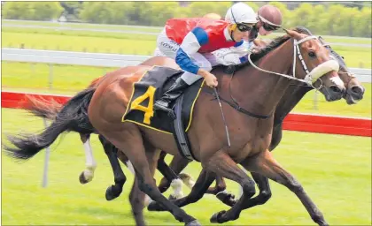  ??  ?? Levin apprentice jockey Sam O’Malley shown winning aboard High Quality at Otaki ¯ last week. The pair will reunite at Trentham tomorrow.