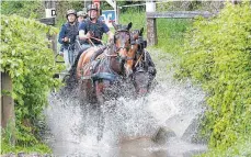  ?? FOTO: VOLKER STROHMAIER ?? Setzte sich sowohl in der Dressur, als auch im Gelände- und Hindernisf­ahren durch und gewann das süddeutsch­e Fahrderby in Bad Schussenri­ed: Michael Brauchle.