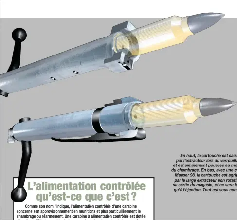  ??  ?? En haut, la cartouche est saisie par l’extracteur lors du verrouilla­ge, et est simplement poussée au moment du chambrage. En bas, avec une culasse Mauser 98, la cartouche est agrippée par le large extracteur non rotatif dès sa sortie du magasin, et ne sera lâchée qu’à l’éjection. Tout est sous contrôle.