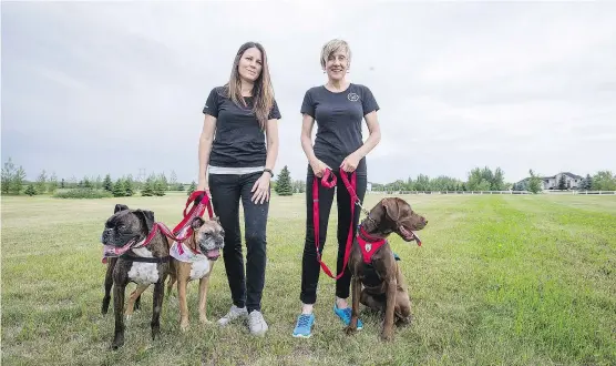  ?? QC PHOTO BY MATT SMITH ?? Colleen Dell (left) and Darlene Chalmers are researcher­s focusing on therapy animals in Saskatoon.