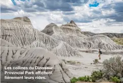  ??  ?? Les collines du Dinosaur Provincial Park affichent fièrement leurs rides.