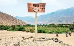  ??  ?? An informatio­n sign is seen in front of an agricultur­al area that has invaded the protected area of the Caral archaeolog­ical complex, in Supe.