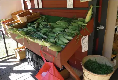  ??  ?? PICK OF THE CROP: Find the freshest produce possible, right at the source, on Maine’s Open Farm Day.