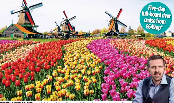  ??  ?? BURSTING WITH COLOUR: A field of glorious tulips with a classic Dutch backdrop of working windmills Five-day full-board river cruise from £649pp*