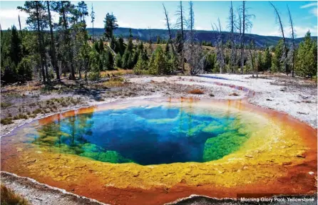  ??  ?? Morning Glory Pool, Yellowston­e