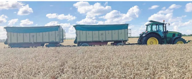  ?? FOTOS (3): DNI ?? Rund 17 Meter lang und knapp 2,70 Meter breit: Wer einen solchen Traktor samt Anhänger-Zug überholen möchte, braucht genügend Zeit und Platz.