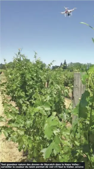  ?? [SKYCATCH] ?? Test grandeur nature des drones de Skycatch dans la Napa Valley : surveiller la couleur du raisin permet de voir s’il faut le traiter.