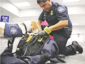  ?? AMY BETH BENNETT/SUN SENTINEL ?? U.S. Customs and Border Patrol agricultur­e specialist Alberto Gonzalez and his K-9 partner Baymon find a bag of prohibited pieces of cut sugar cane in a duffel bag at Fort Lauderdale-Hollywood Internatio­nal Airport.