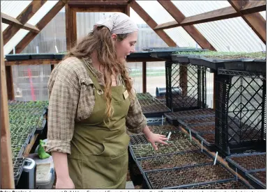  ?? (Arkansas Democrat-Gazette/Critasina LaRue) ?? Dylan Romine, farm manager at Bell Urban Farm and Farmstand, explains the different heirloom seed varieties she is helping to grow in a greenhouse on the farm in Conway on Monday.