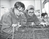  ??  ?? Gennie Morrison, left, 21, of Glace Bay, a student at Nova Scotia Community College on a work term at the Glace Bay Food Bank, and Jayden Michalik, 16, of Glace Bay, a volunteer at the food bank, check seedlings which will eventually end up in the...