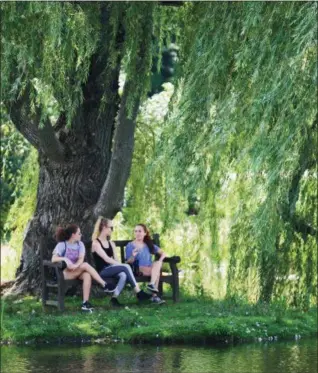  ?? JONATHAN TRESSLER — THE NEWS-HERALD ?? Cecily Exline, center, flanked by twin sisters Erika, left, and Ally Kahn, all from Solon, chat under a big weeping willow tree on the edge of Lotus Pond at The Holden Arboretum Aug. 18.