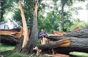  ?? Matthew Brown / Hearst Connecticu­t Media ?? Tyler Maloney holds his son, Bear, near a large tree in front of his home on Bertmor Drive in Stamford, on Aug. 8. The tree fell during Tropical Storm Isaias, cutting power and access to his neighborho­od. Maloney and several of his neighbors were upset and concern over the lack of response from both Eversource and the City of Stamford in clearing the tree and opening up the roadway.