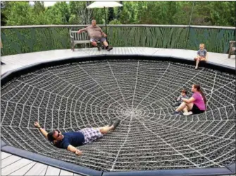  ?? PAUL POST -- PPOST@DIGITALFIR­STMEDIA.COM ?? A large human-sized spider web is one of many fun features visitors experience on the Wild Center’s Wild Walk.