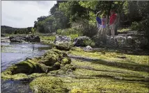  ?? AMANDA VOISARD / AMERICAN-STATESMAN ?? Green algae covers the South Fork of the San Gabriel River, where properties belonging to LaWann and Frank Tull (left and right) and Louise Bunnell (center) meet.