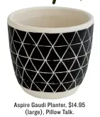  ??  ?? Aspire Gaudi Planter, $14.95 (large), Pillow Talk.