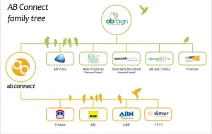  ??  ?? AB Connect family tree