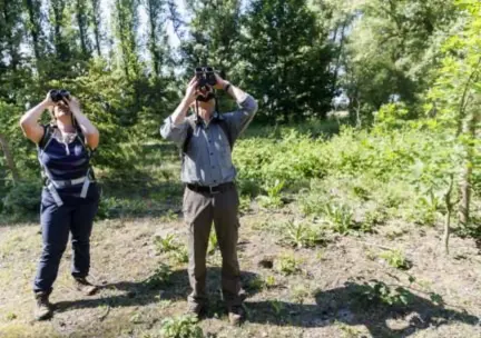  ??  ?? Willy en opvolgster Deborah Dirven inventaris­eren alle vogelgelui­den.