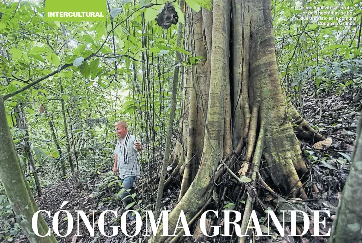  ?? Fotos: Juan Carlos Pérez Para el Comercio ?? •
Telmo Aguavil es el protector de 8 hectáreas de bosque primario en la comuna Cóngoma grande.