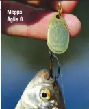  ??  ?? Mepps Aglia 0. Más especies que se pescan con pequeñas cucharas giratorias: piraña (izq.) y