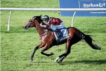  ?? TRISH DUNELL ?? Summer Passage is a $41 chance in Saturday’s Coolmore Stud Stakes at Flemington.