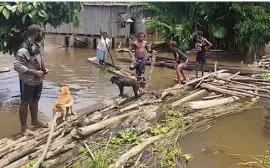  ?? PAPUA NEW GUINEA POLICE/AGENCE FRANCE PRESSE ?? LOCALS on a makeshift bridge in the flooded Angriman Village in Angoram District, East Sepik, Papua New Guinea. At least five people were killed and an estimated 1,000 homes destroyed when a magnitude 6.9 earthquake rocked Papua New Guinea.