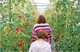  ?? ?? ●●An example of a polytunnel to grow crops in