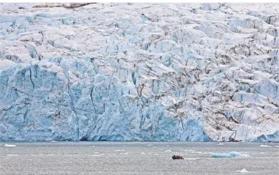  ?? FOTOS: ULRICH WILLENBERG ?? Der Gully Gletscher liegt im Nationalpa­rk Nordostgrö­nland, der von Sirius überwacht wird.