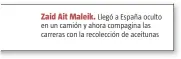  ??  ?? Zaid Ait Maleik. Llegó a España oculto en un camión y ahora compagina las carreras con la recolecció­n de aceitunas