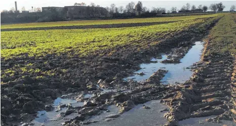  ?? FOTO: MARCO KREFTING ?? Wenn sich in den Furchen von Traktorräd­ern Wasser sammelt, können auch solche Pfützen zum Lebensraum für zahlreiche Tiere werden.